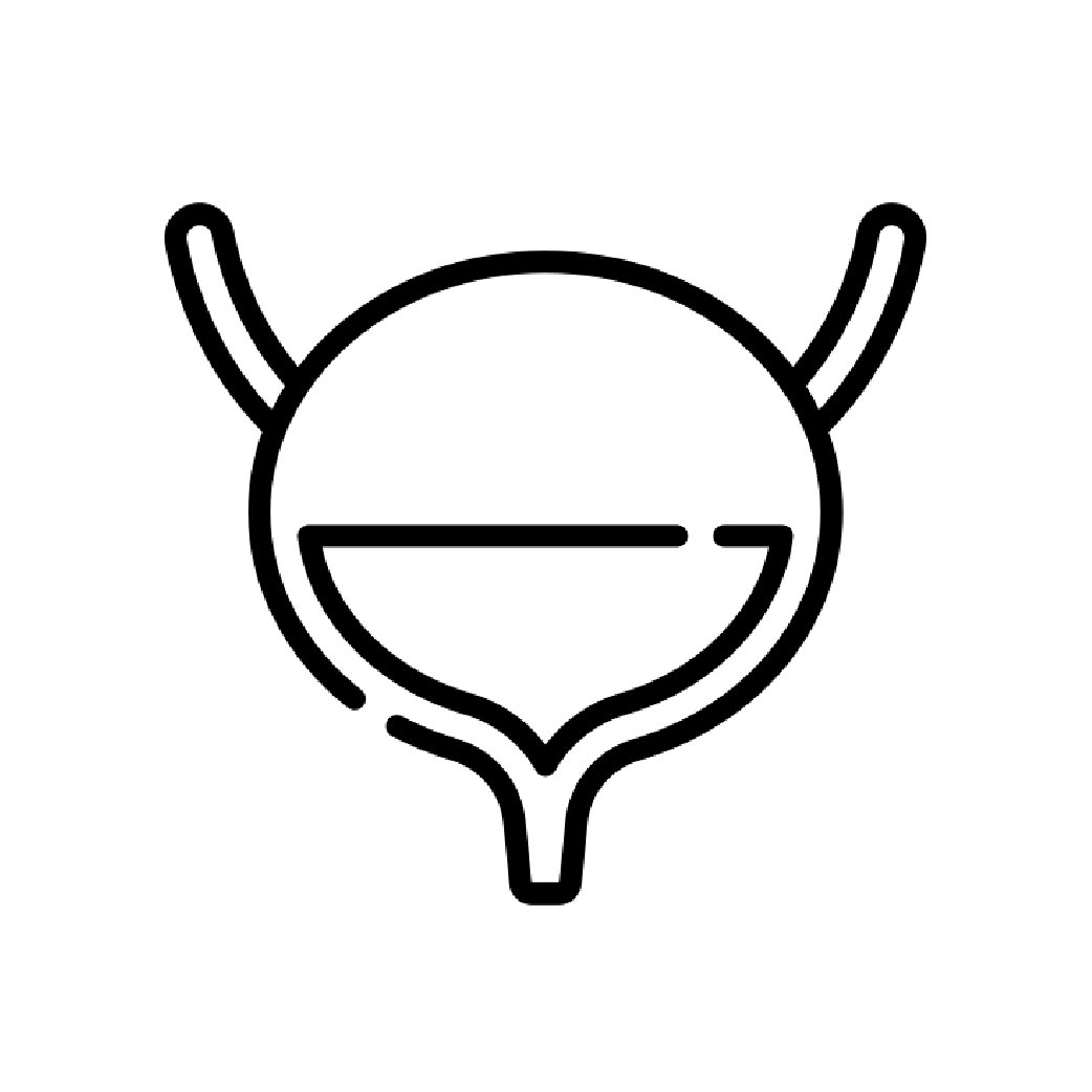 Pelvic Solution Institute